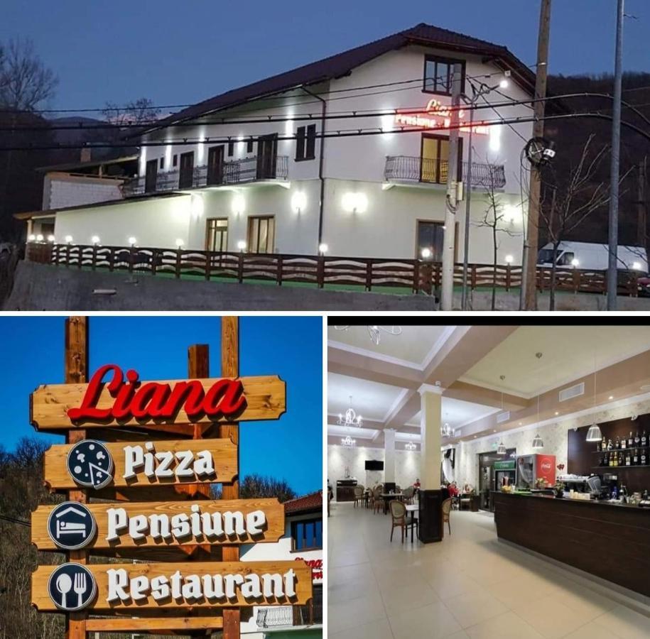 Pensiune Restaurant Liana Mehadija Εξωτερικό φωτογραφία